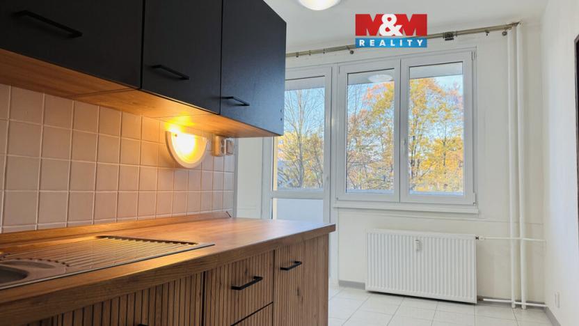 Pronájem bytu 3+1, České Budějovice - České Budějovice 2, Větrná, 70 m2