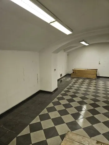 Pronájem skladu, Praha - Vinohrady, Italská, 108 m2