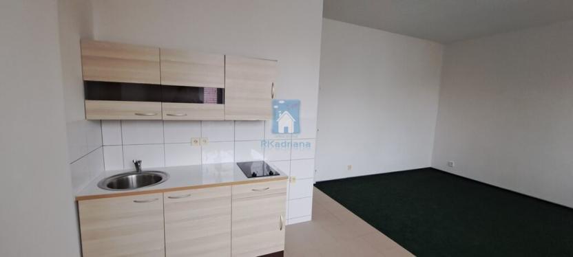 Pronájem bytu 1+kk, Plzeň, Černická, 28 m2