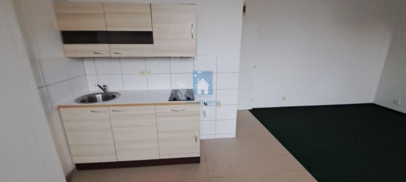 Pronájem bytu 1+kk, Plzeň, Černická, 28 m2