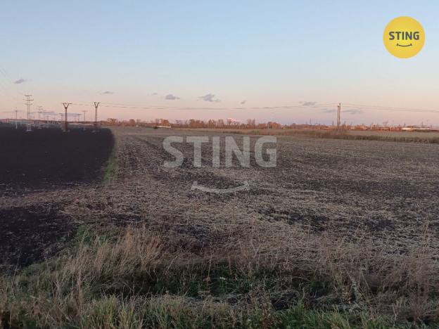 Prodej pole, Břeclav, 10356 m2