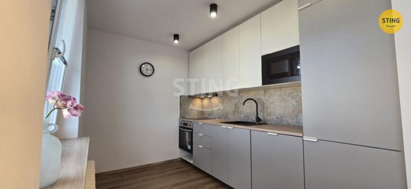 Pronájem bytu 1+kk, Krnov, SPC E, 40 m2