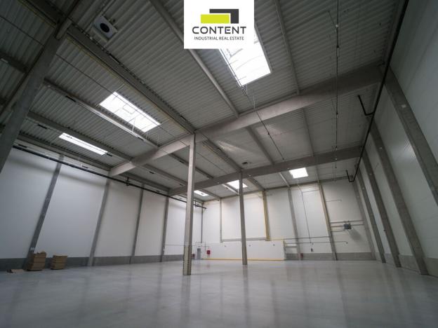 Pronájem skladu, Řepov, 735 m2