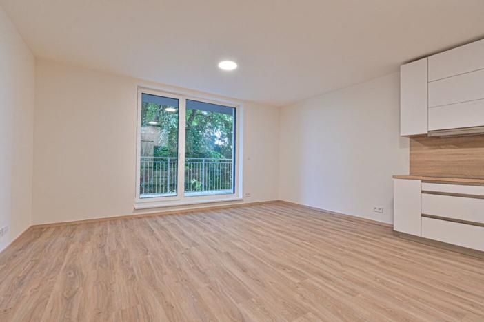 Pronájem bytu 1+kk, Brno, Wágnerova, 43 m2