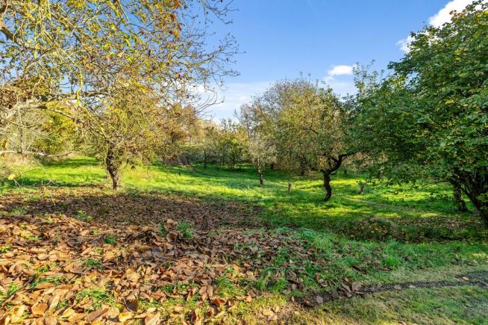 Prodej rodinného domu, Bezděz, 85 m2