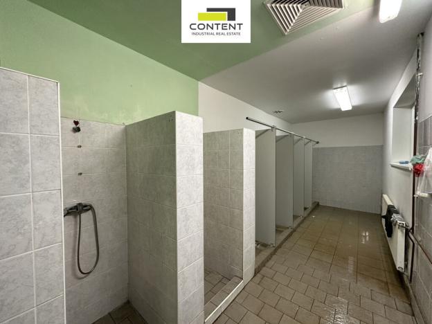 Pronájem výrobních prostor, Litvínov - Záluží, 7684 m2