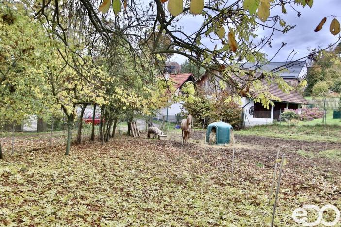 Prodej rodinného domu, Stříbrná Skalice - Hradové Střimelice, 220 m2