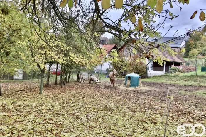 Prodej rodinného domu, Stříbrná Skalice - Hradové Střimelice, 220 m2