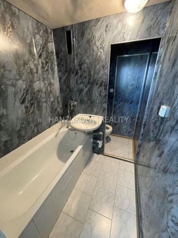 Pronájem bytu 2+1, České Budějovice - České Budějovice 3, Plzeňská, 50 m2