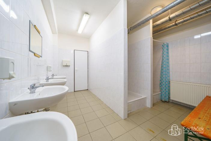 Prodej výrobních prostor, Krásno, Kladenská, 4900 m2