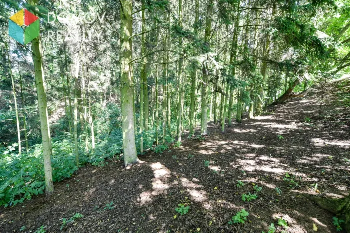 Prodej pole, Mezouň, 2730 m2