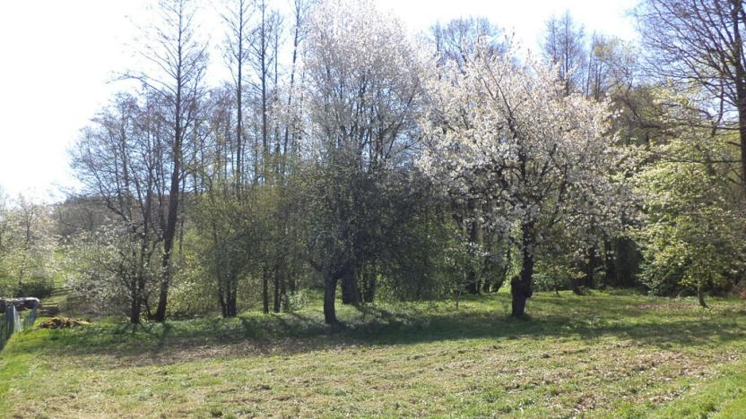 Prodej pozemku, Kamenná - Kondrač, 2542 m2