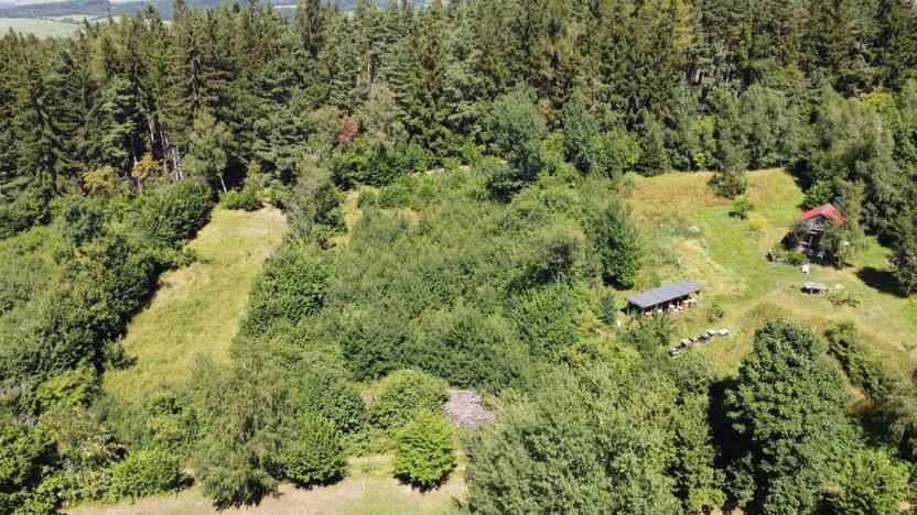 Prodej pole, Strašín, 33901 m2