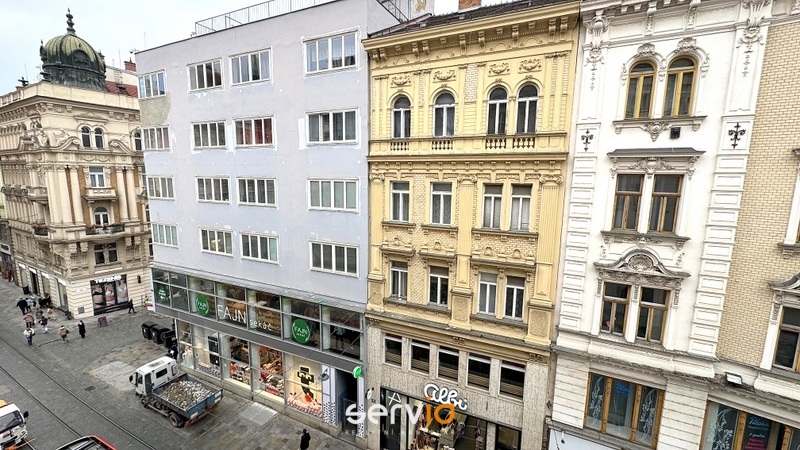 Pronájem bytu 3+1, Brno, Zelný trh, 104 m2