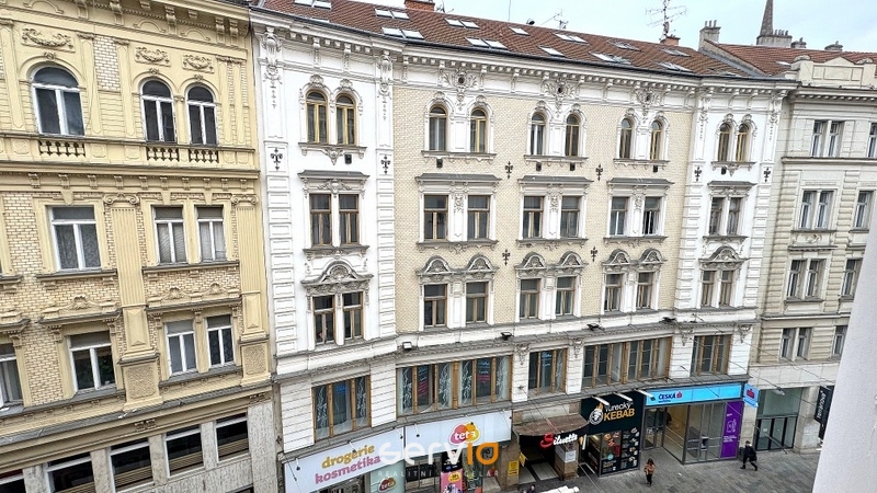 Pronájem bytu 3+1, Brno, Zelný trh, 104 m2