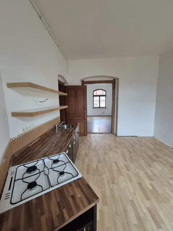 Prodej bytu 1+1, Ústí nad Labem - Střekov, Žukovova, 48 m2