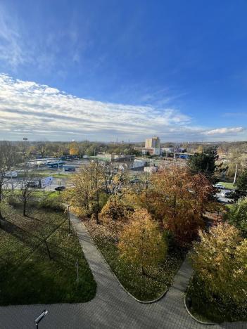 Pronájem bytu 1+kk, Ostrava, Hornopolní, 33 m2