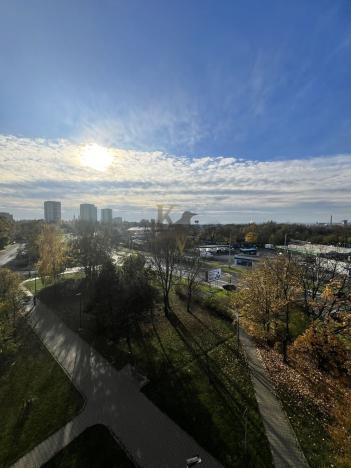 Pronájem bytu 1+kk, Ostrava, Hornopolní, 33 m2