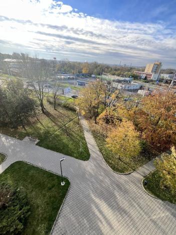 Pronájem bytu 1+kk, Ostrava, Hornopolní, 33 m2