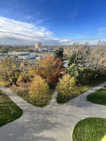 Pronájem bytu 1+kk, Ostrava, Hornopolní, 33 m2