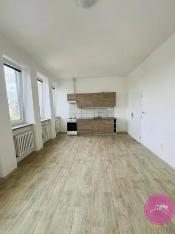 Pronájem bytu 1+kk, Dolany, 32 m2