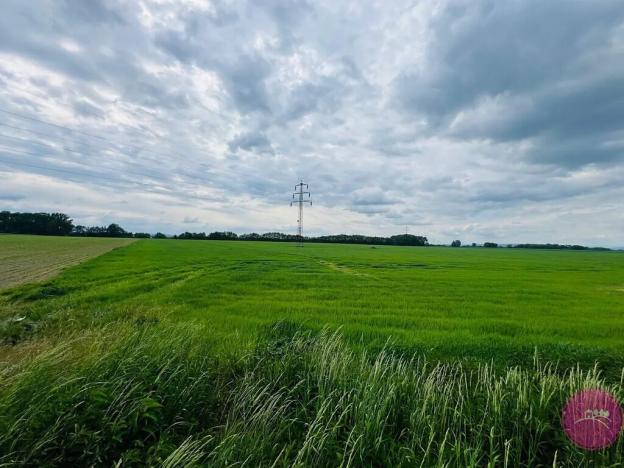 Prodej podílu komerčního pozemku, Liboš, 29280 m2