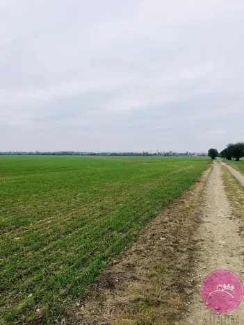 Prodej pole, Štarnov, 19934 m2