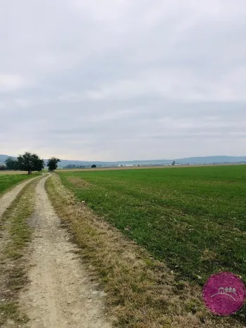 Prodej pole, Štarnov, 19934 m2