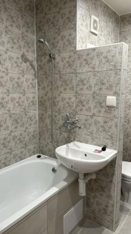 Pronájem bytu 1+1, Děčín - Děčín VI-Letná, 43 m2