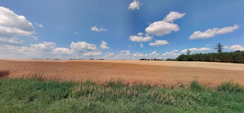 Prodej pole, Stránka, 7066 m2