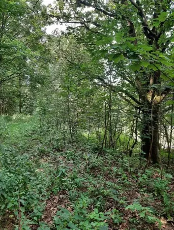 Prodej pozemku, Dolní Zimoř, 1049 m2