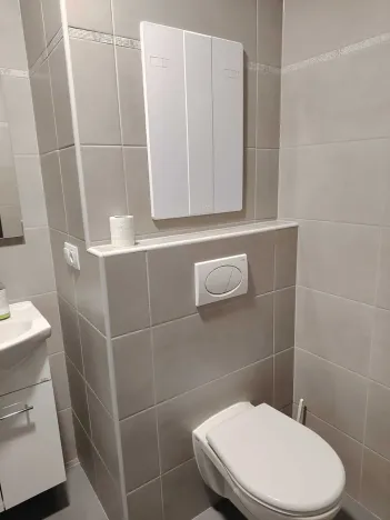 Pronájem bytu 1+1, Karlovy Vary, Celní, 43 m2