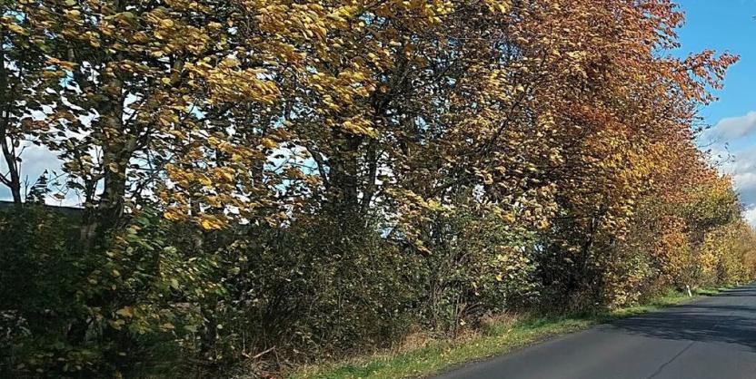 Prodej komerčního pozemku, Měšice, 2035 m2