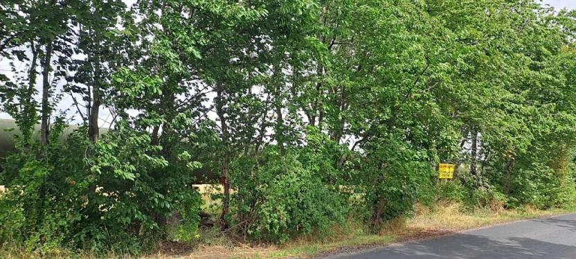 Prodej komerčního pozemku, Měšice, 2035 m2