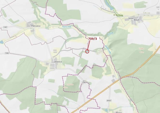 Dražba lesa, Osek, 301 m2