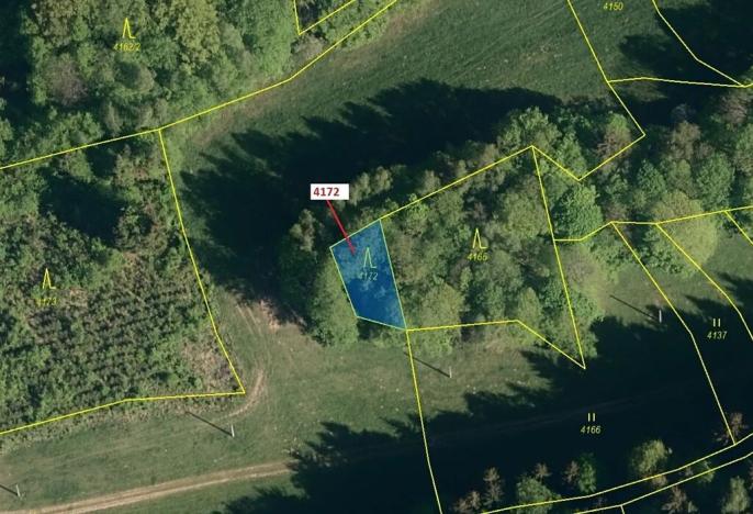 Dražba lesa, Zděchov, 216 m2