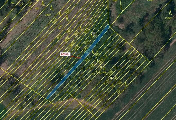 Dražba lesa, Březník, 234 m2