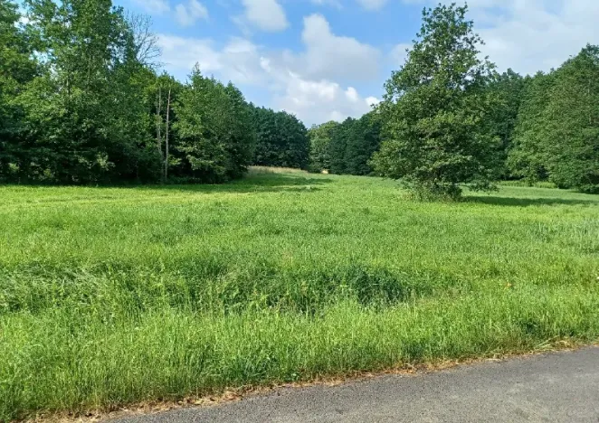 Dražba lesa, Česká Kamenice, 14221 m2