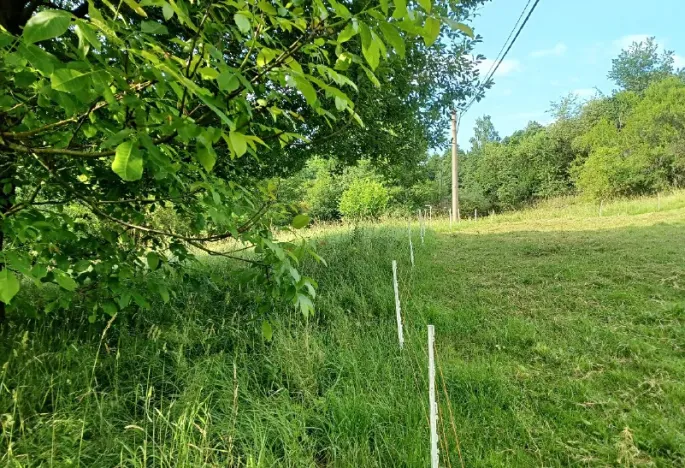 Dražba lesa, Česká Kamenice, 14221 m2