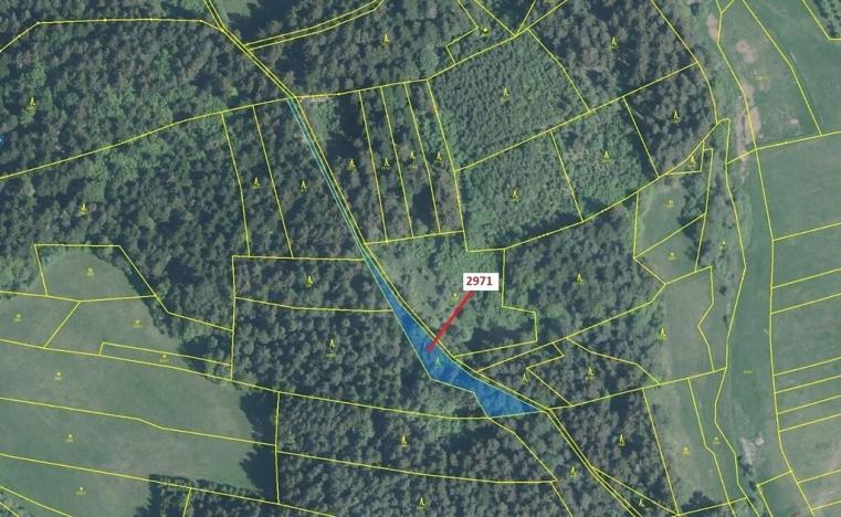 Dražba lesa, Lačnov, 1723 m2