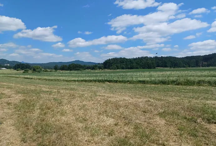 Dražba pozemku, Jestřebí, 13769 m2