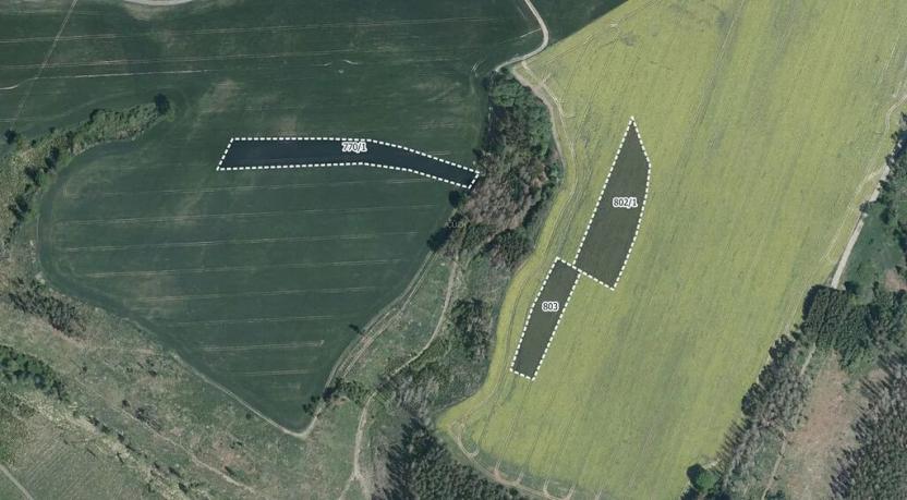 Prodej pole, Hořice, 24821 m2