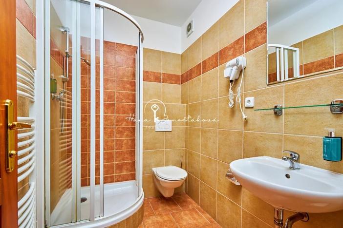 Prodej ubytování, Český Krumlov, Rooseveltova, 270 m2