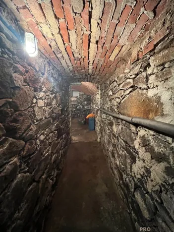 Prodej chalupy, Nová Ves v Horách, 284 m2