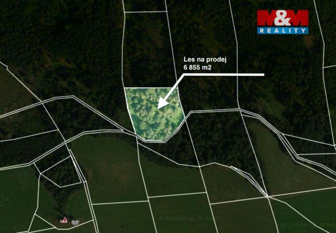 Prodej lesa, Jestřebí, 6855 m2