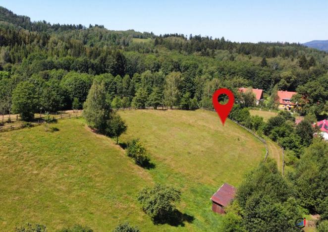 Prodej pozemku pro bydlení, Olešnice v Orlických horách, 3728 m2