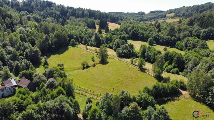 Prodej pozemku pro bydlení, Olešnice v Orlických horách, 2456 m2