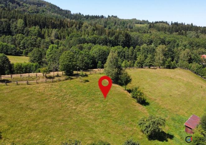 Prodej pozemku pro bydlení, Olešnice v Orlických horách, 4823 m2