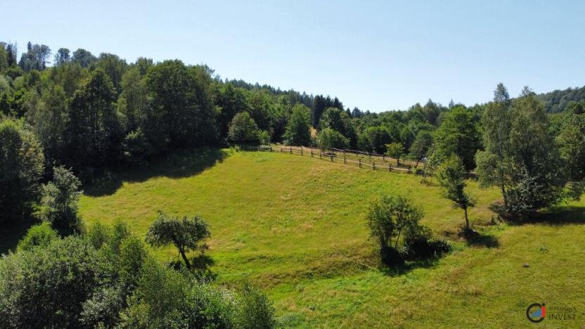 Prodej pozemku pro bydlení, Olešnice v Orlických horách, 4823 m2