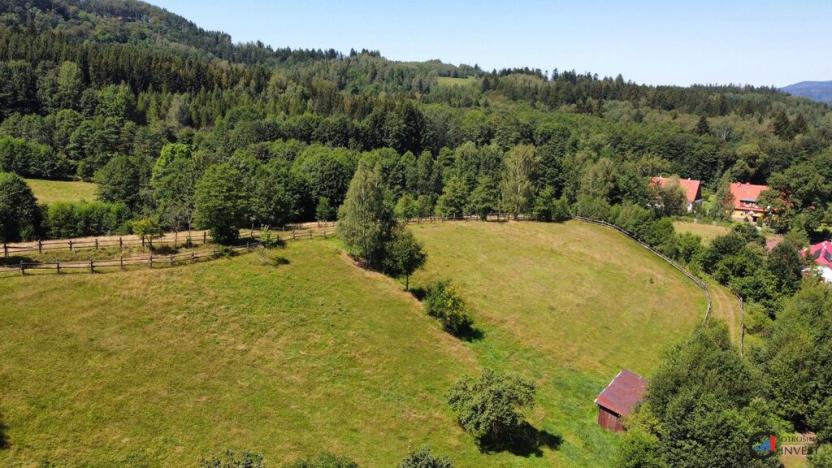 Prodej pozemku pro bydlení, Olešnice v Orlických horách, 4823 m2